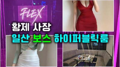 최고의 사교클럽 하이퍼블릭가라오케 최고웨이터 탁월한선택이 될겁니다 일산가라오케주대 일산유흥업소