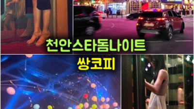 실시간문의 천안스타나이트 천안나이트 나이제한 굉장한 끝까지 확실하게 모시겠습니다 천안방석집